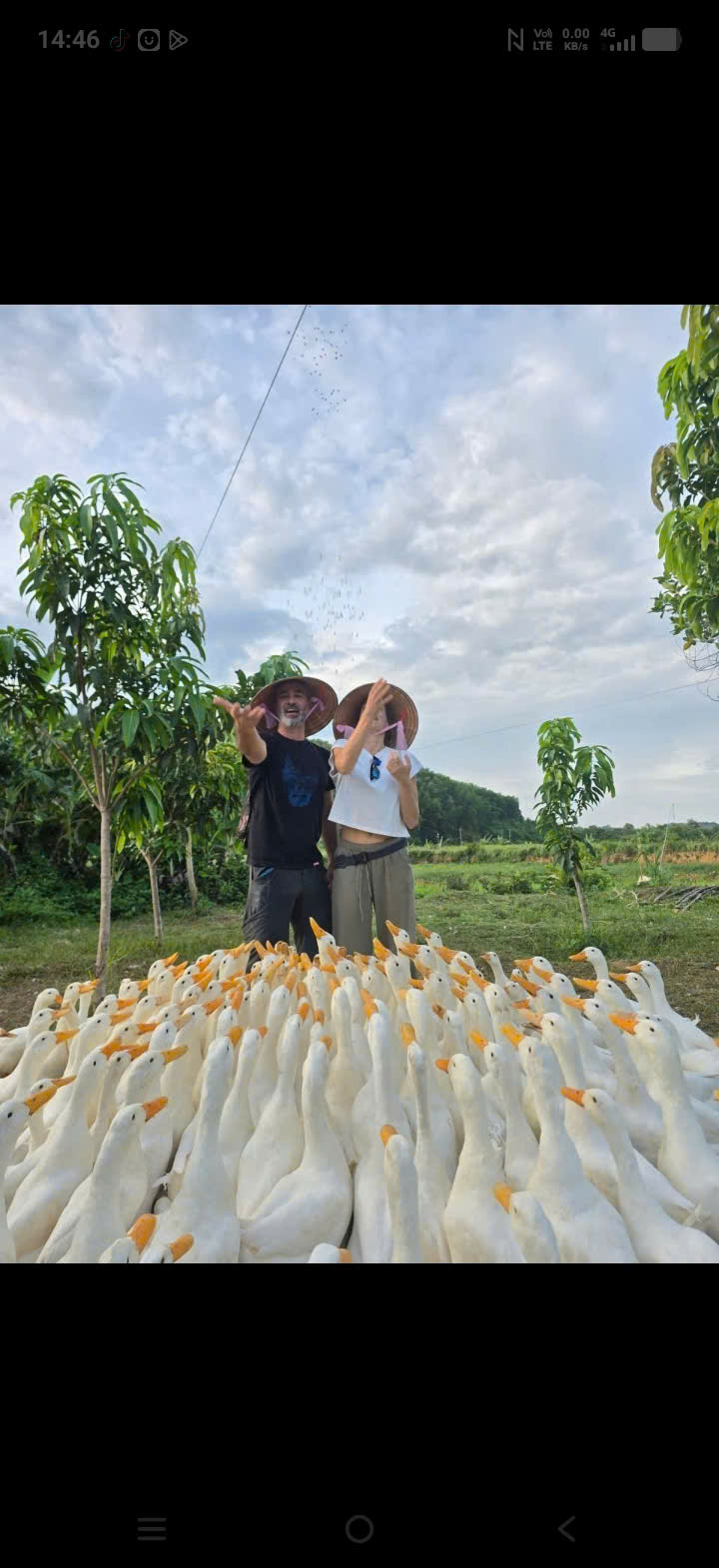 Two visitors with a flock of white ducks