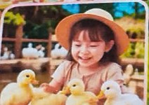 Child playing with ducklings